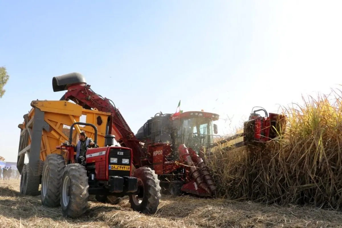 انتقاد کارگران کشت و صنعت کارون: امنیت شغلی و دستمزد مناسب نداریم