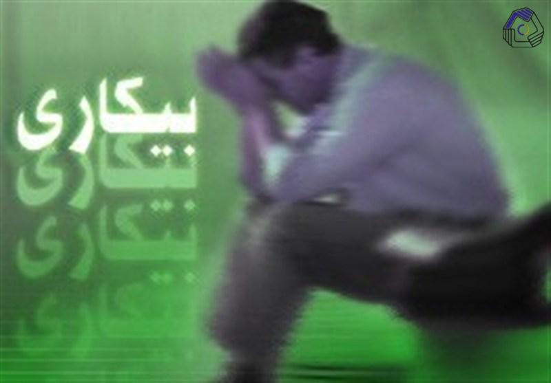 معان وزیر کار: نرخ بیکاری افزایشی شد/ طرح دولت برای تأمین مواد اولیه تولیدکنندگان