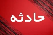 آتش‌سوزی چند درخت در حوالی ورزشگاه انقلاب/ بی‌احتیاطی کارگران ساختمانی سبب آتش سوزی شد