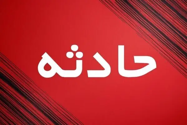 آتش‌سوزی چند درخت در حوالی ورزشگاه انقلاب/ بی‌احتیاطی کارگران ساختمانی سبب آتش سوزی شد